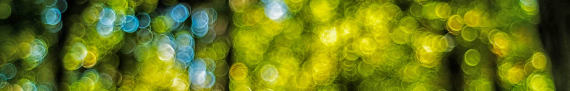 Seeing the world through SUNSHINE_dancer